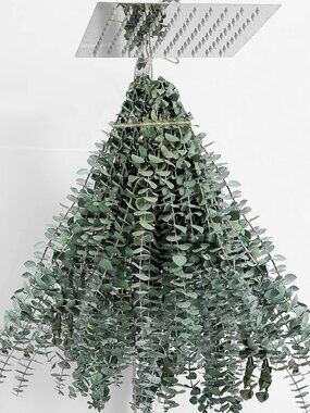 30 Pcs Dried Eucalyptus Stems 17" Real Eucalyptus for Shower Hanging DIY Decor